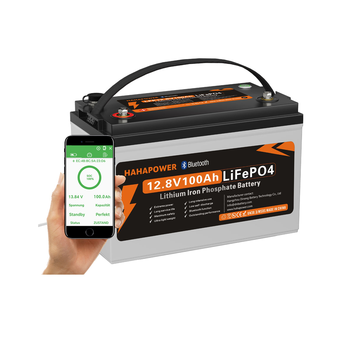 12V LiFePO4 Series