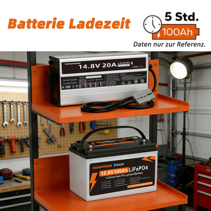 14.6V 20A LiFePO4 Battery Charger