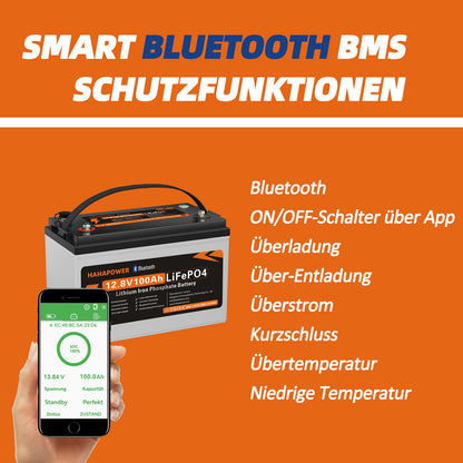 HAHAPOWER 12.8V 100Ah Bluetooth LiFePO4 Battery